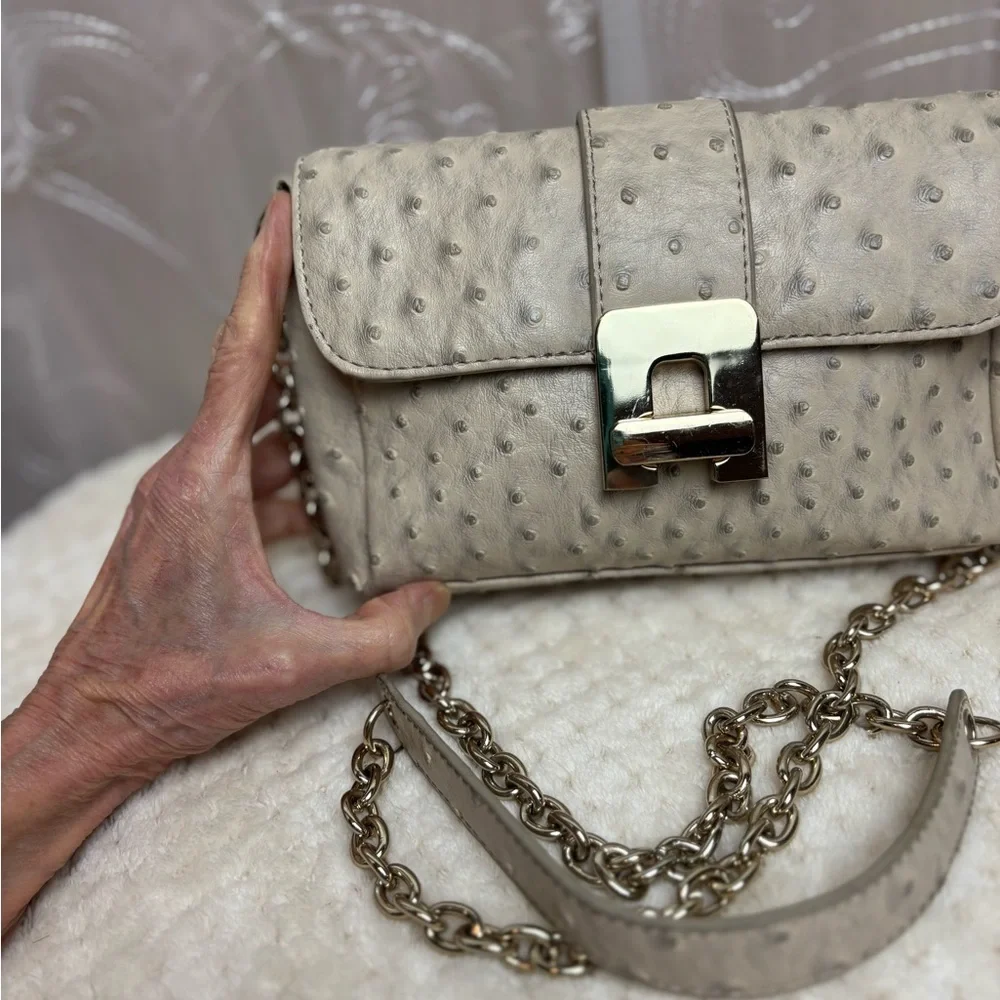Chico’s Faux Ostrich Chain Crossbody Bag